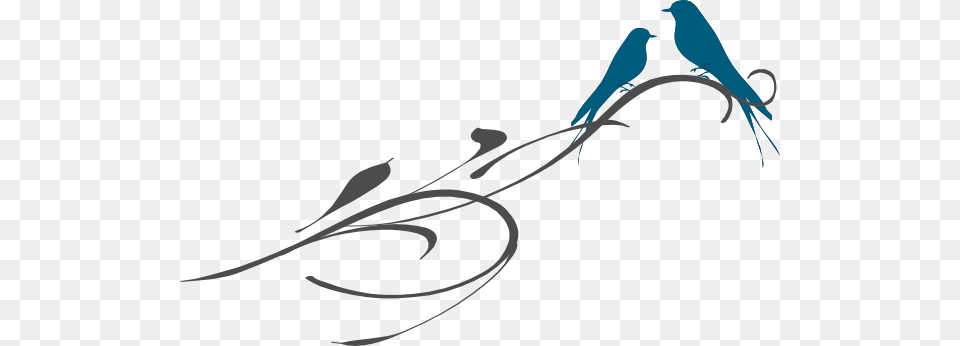 Bird On A Branch Clip Art, Animal, Jay, Bluebird Free Transparent Png