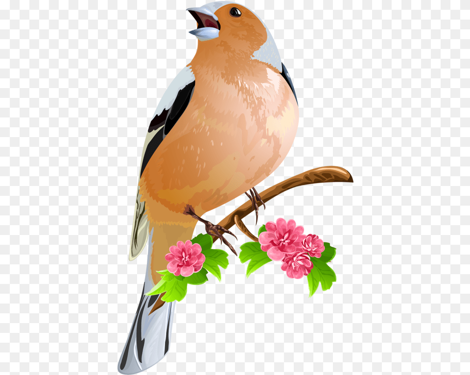 Bird On The Flowering Branch Icon Font Print Fonts Singing Bird Art, Animal, Finch, Jay Free Png