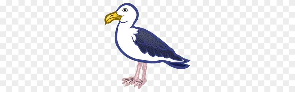 Bird Outline Clip Art Animal, Beak, Seagull, Waterfowl Free Png Download