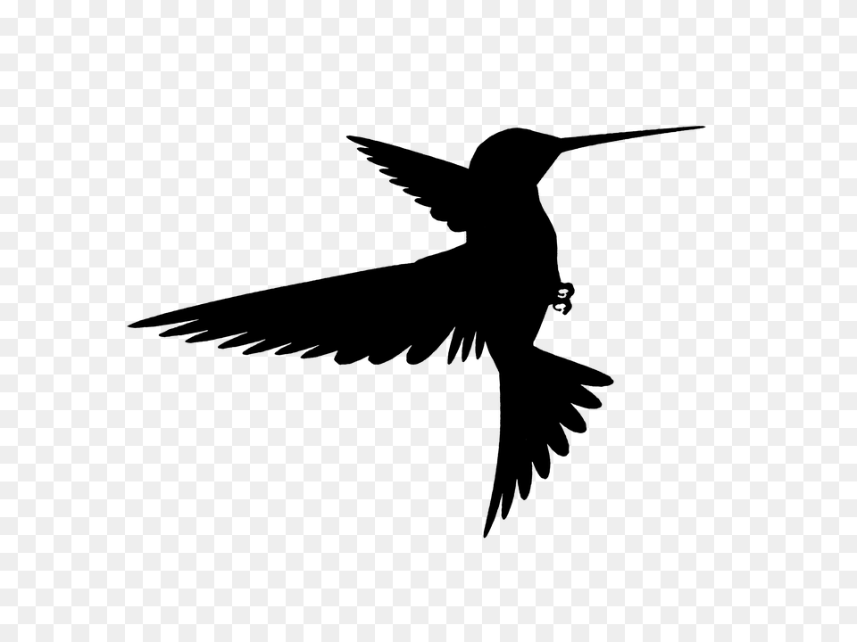Bird Outline Hd Transparent Bird Outline Hd Images, Gray Free Png