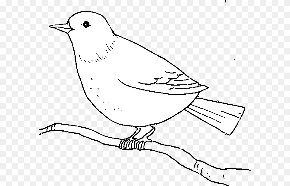 Bird Outline Of Birds Clipart Abeoncliparts Cliparts Illustration, Animal, Finch, Art, Stencil Free Png