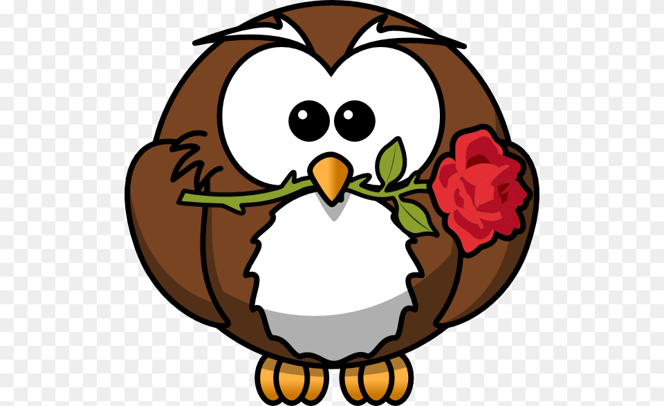Bird Owl And Night Owl, Baby, Flower, Person, Plant Free Png Download