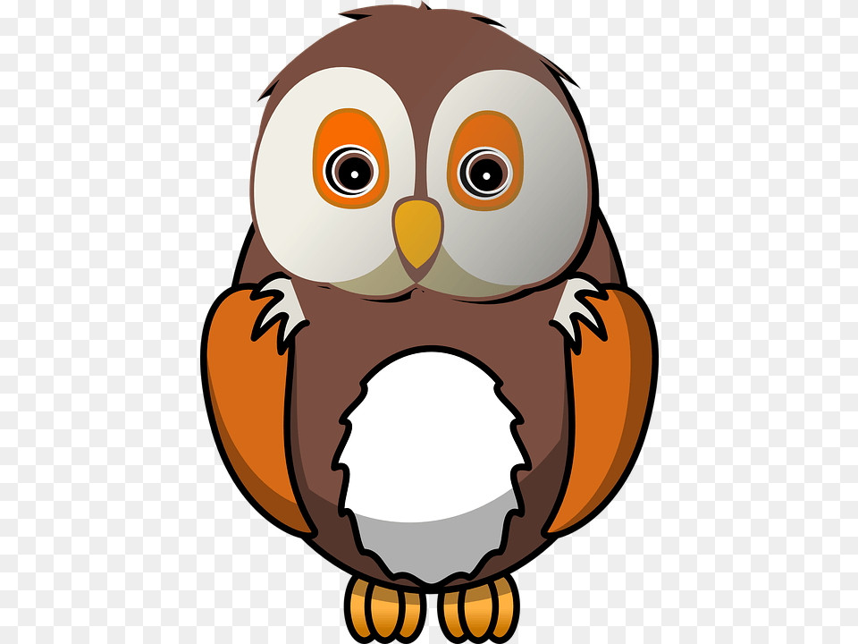 Bird Owl Animal Cute Nature Sitting Waiting Owl Clipart, Baby, Person Png