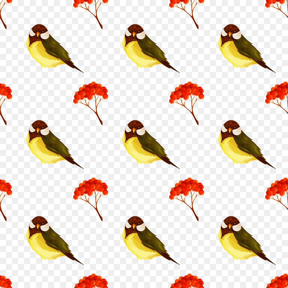 Bird Pattern Clipart Birds Tree Branch Digital Lemonize Winging, Animal, Beak, Finch, Canary Free Transparent Png