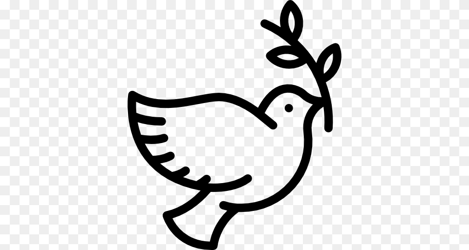 Bird Peace Animals Dove Pigeon Icon, Gray Free Transparent Png