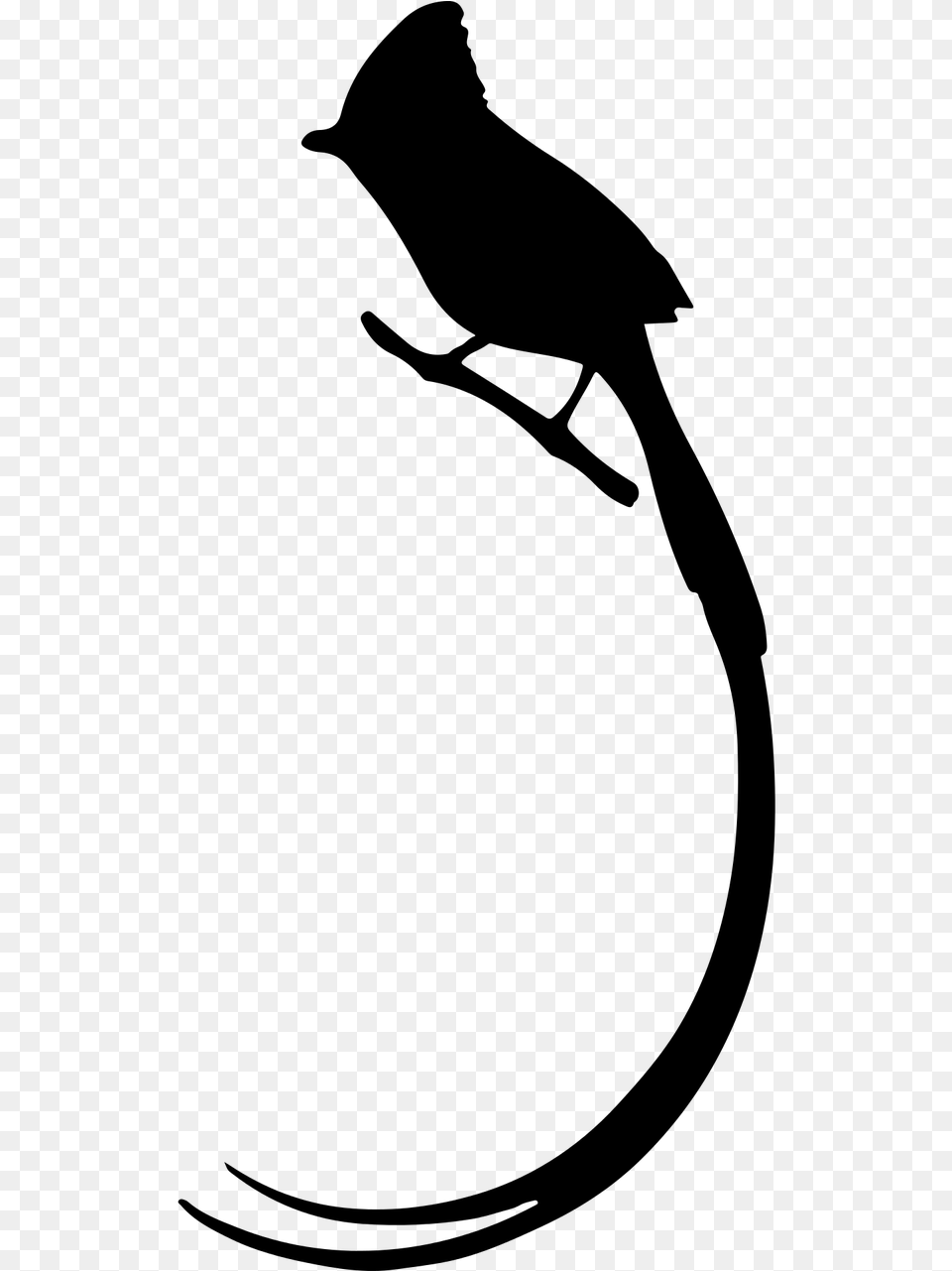 Bird Penguin Silhouette Tail Clip Art Bird Long Tail Silhouette, Gray Free Png Download
