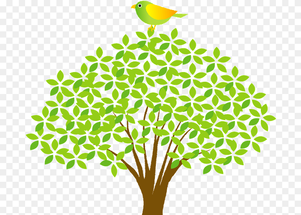 Bird Perched Lovely, Green, Leaf, Plant, Tree Png Image