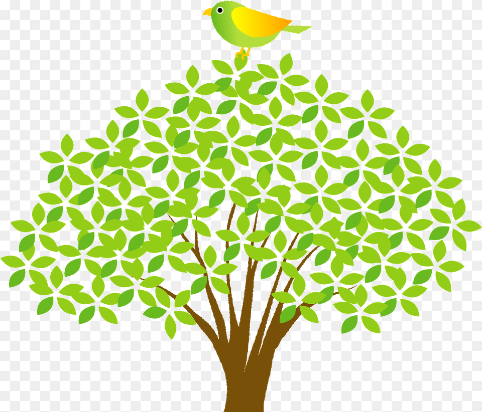 Bird Perched On Top A Tree Clipart, Plant, Leaf, Art, Vegetation Free Transparent Png