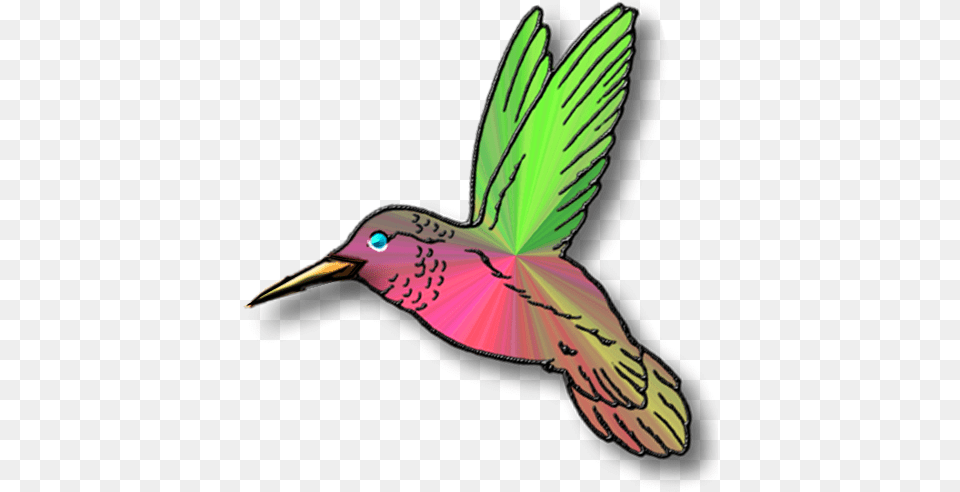 Bird Picture Teal Hummingbird Clipart, Animal, Fish, Sea Life, Shark Free Transparent Png