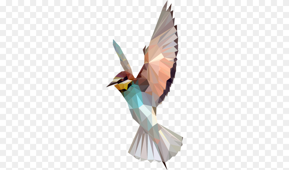 Bird Polygon Google Low Polygon Bird, Animal, Bee Eater, Adult, Wedding Free Transparent Png
