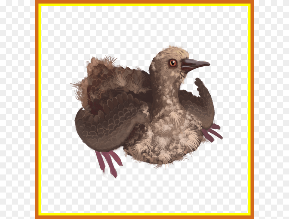 Bird Poop Pigeons And Doves, Animal, Beak Png Image