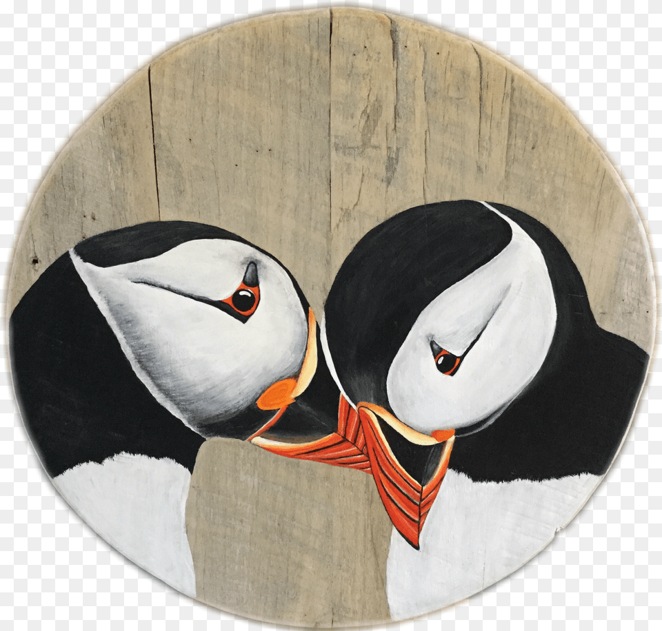 Bird Portfolio Atlantic Puffin, Gray Free Transparent Png