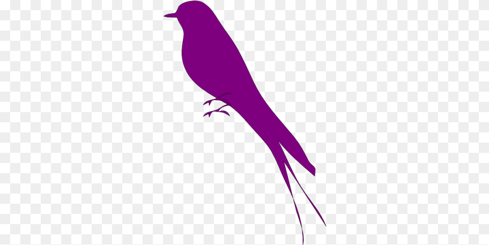Bird Purple Icon Purplepng Images Mockingbird, Animal Free Png