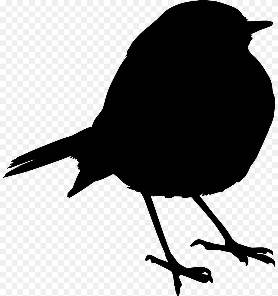 Bird Robin, Gray Free Transparent Png
