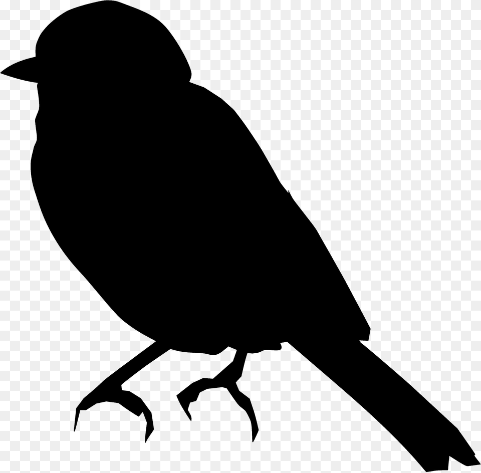 Bird Silhouette, Animal, Blackbird, Person Png Image