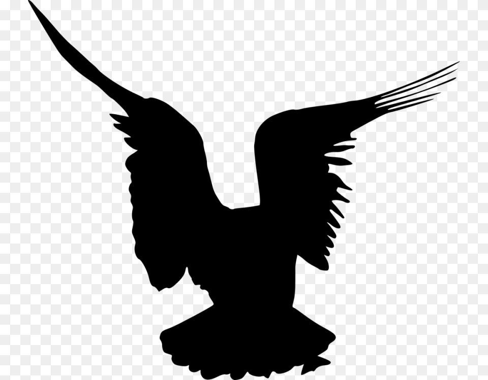 Bird Silhouette, Animal, Blackbird, Person, Flying Free Png