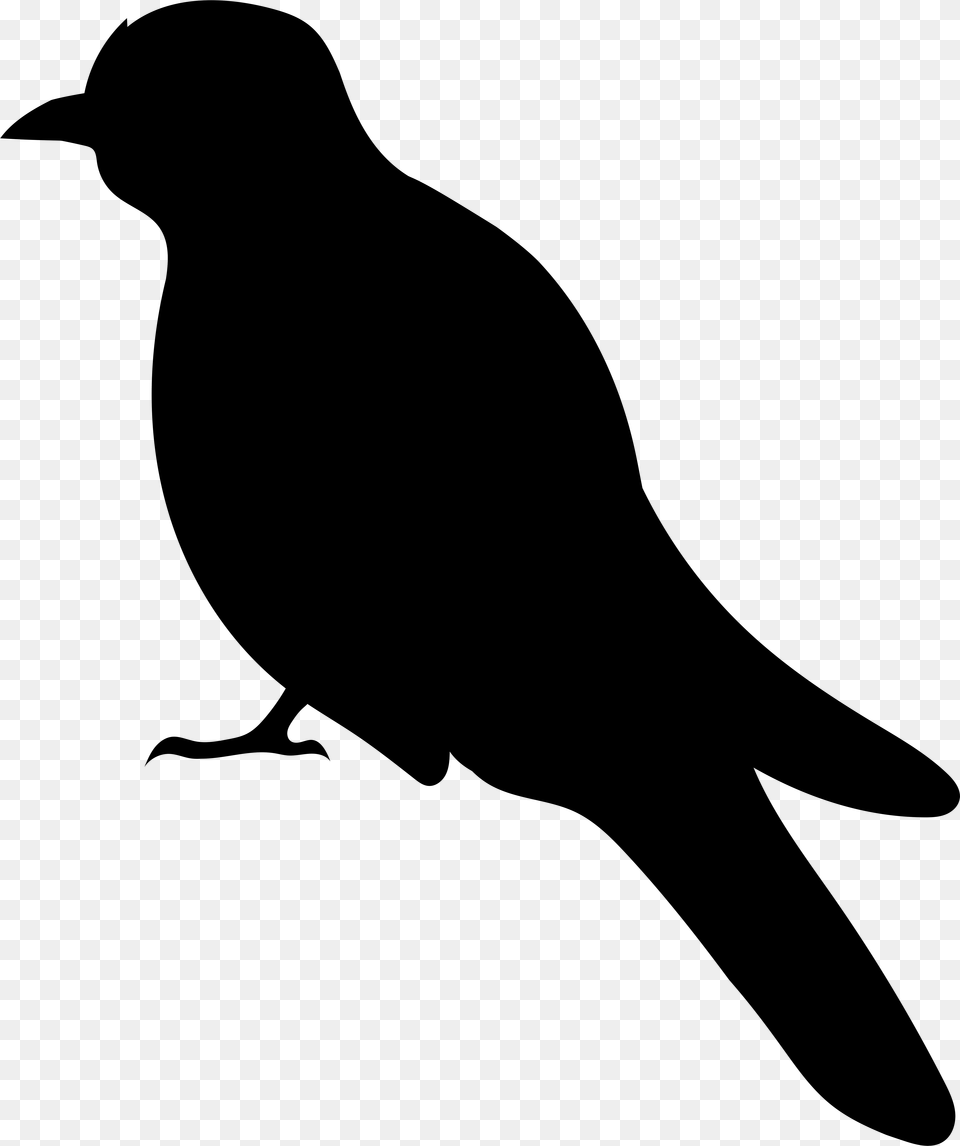 Bird Silhouette Banner Black And White Library, Gray Free Transparent Png
