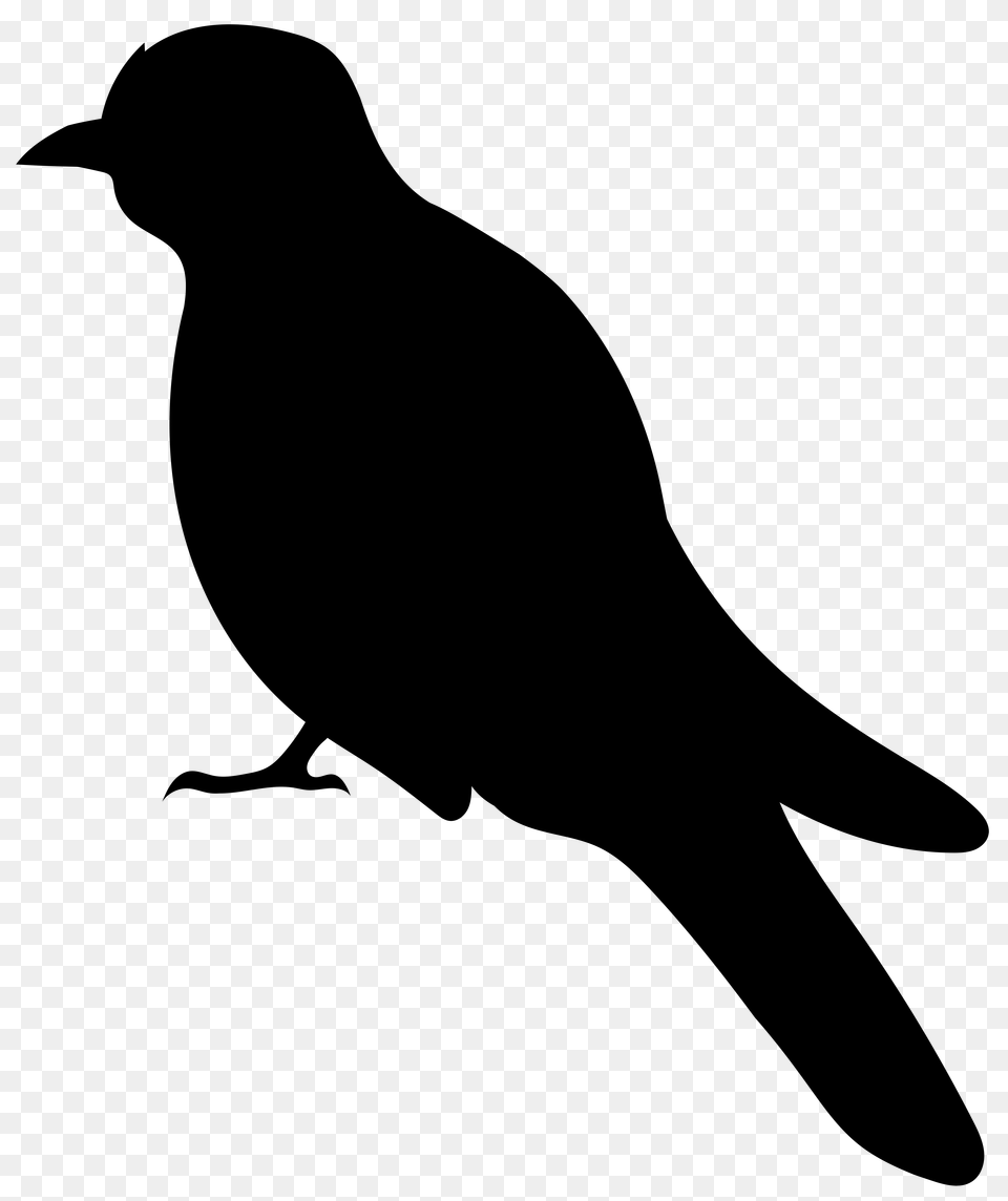 Bird Silhouette Clip Art Free Png