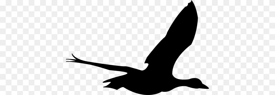 Bird Silhouette Clip Art, Gray Png