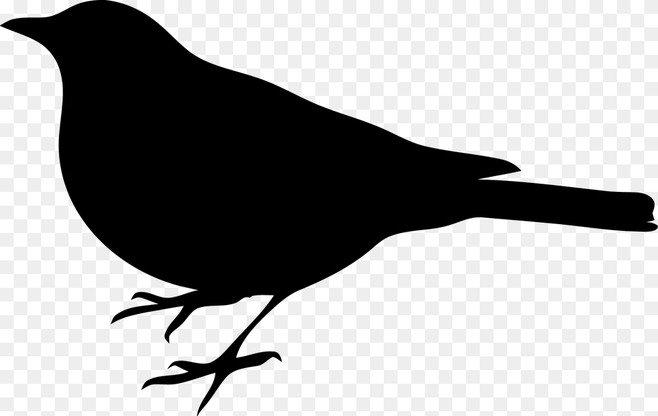 Bird Silhouette Clip Art Bird Clipart Black, Animal, Blackbird, Stencil, Fish Png