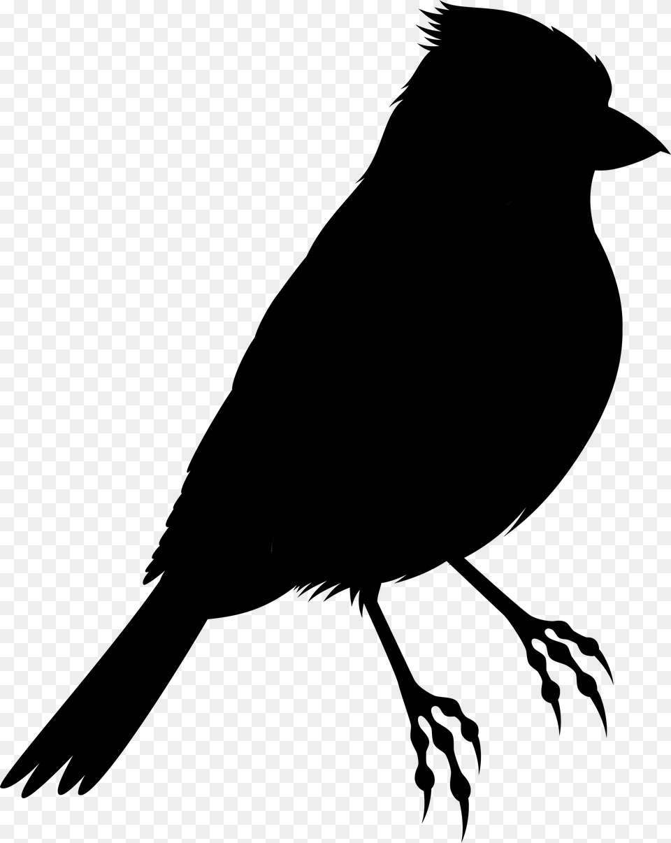 Bird Silhouette Clip Art Illustration Drawing, Gray Free Png