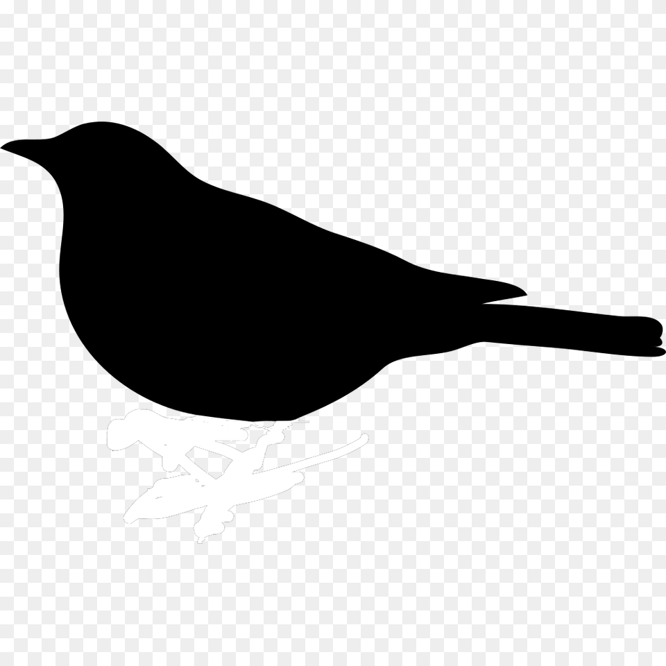 Bird Silhouette Clip Art Silhouette Of A Bird Simple, Aircraft, Transportation, Flying, Animal Png Image