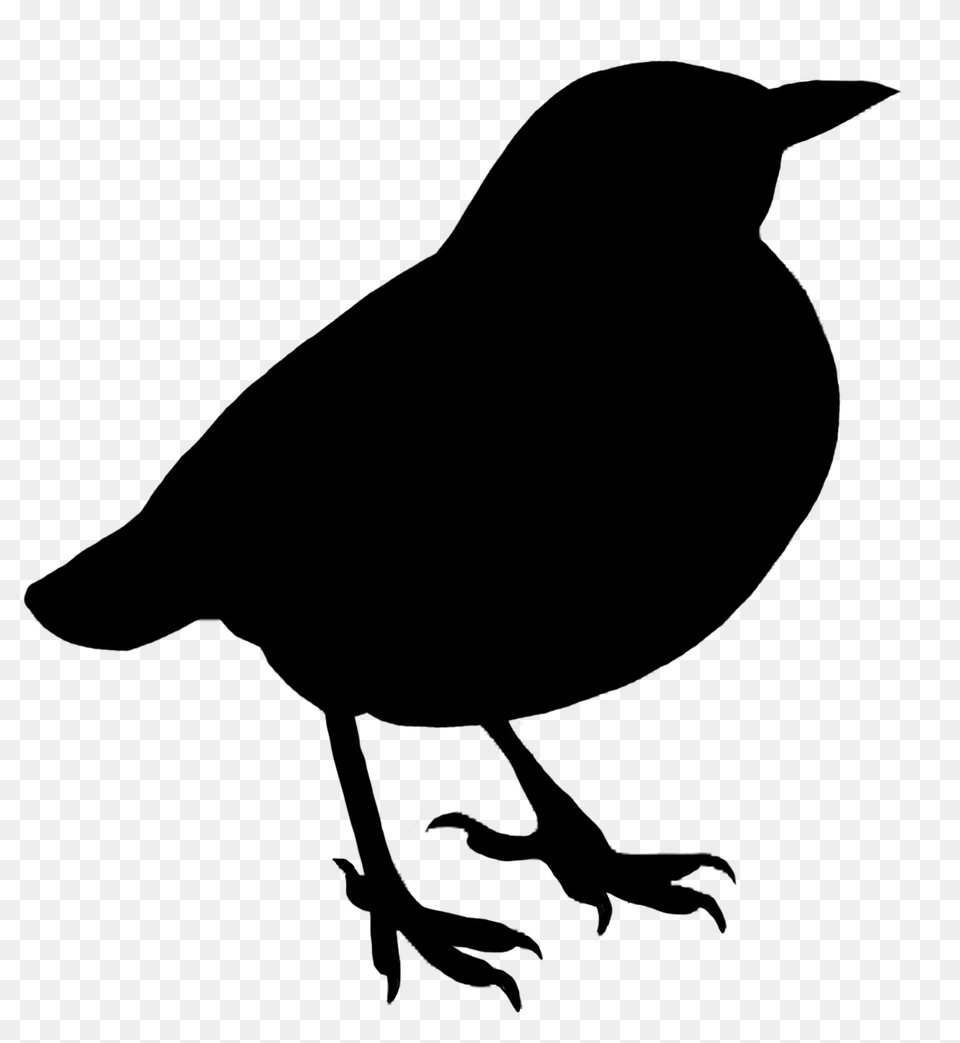 Bird Silhouette Clipart, Animal, Blackbird Png Image