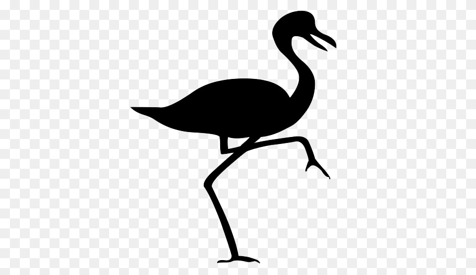 Bird Silhouette Flamingo, Animal, Crane Bird, Waterfowl, Kangaroo Png