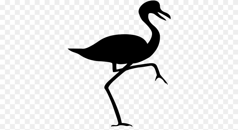 Bird Silhouette Flamingo Silueta De Un Pajaro, Animal, Crane Bird, Waterfowl, Bow Png Image