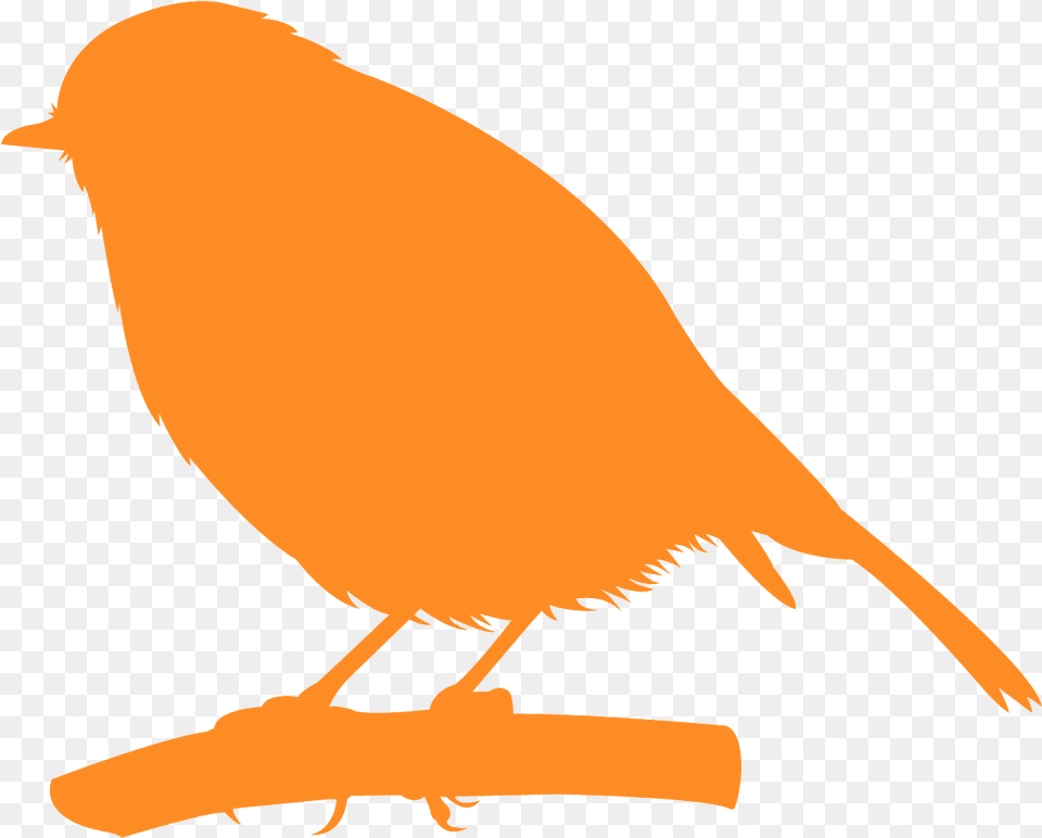Bird Silhouette Green, Animal, Canary, Person Png