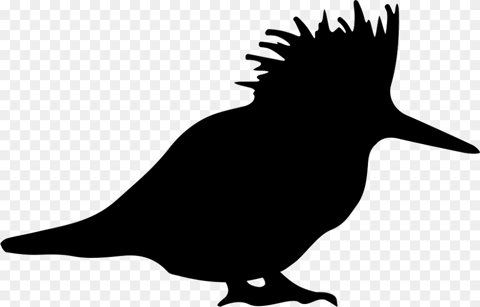 Bird Silhouette Icon, Stencil, Animal, Blackbird, Fish Png Image