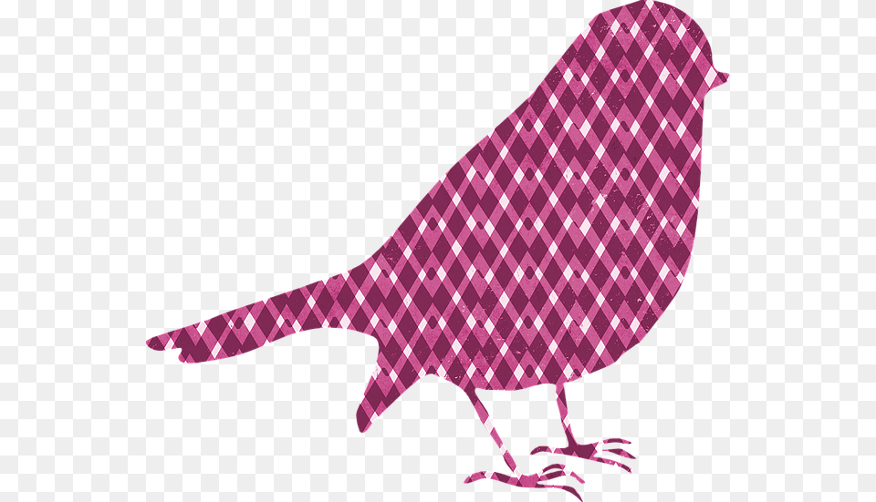 Bird Silhouette Pattern Texture Pink Gingham Fun Siluetas De Pajaritos A Colores, Animal Png