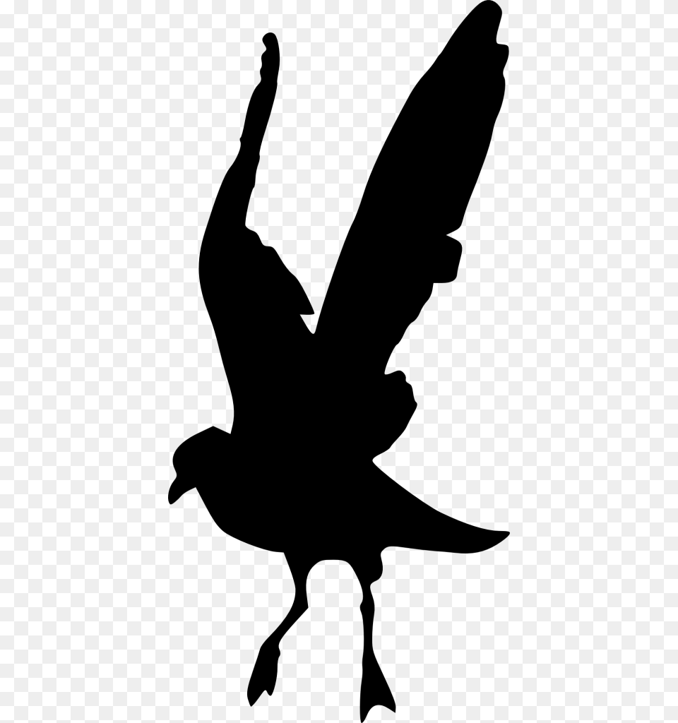 Bird Silhouette Silhouettes Bird, Person, Animal, Blackbird Png