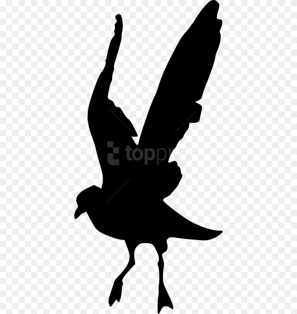 Bird Silhouette Silhouettes Bird, Animal, Blackbird, Adult, Female Png Image