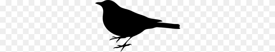 Bird Silhouette Small Black Clip Art For Web, Gray Free Png