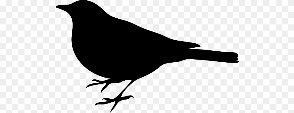 Bird Silhouette Small Black Clip Arts Download, Animal, Blackbird, Stencil Free Transparent Png