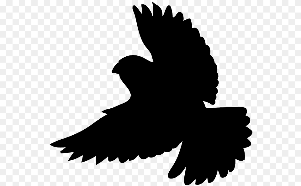 Bird Silhouettes, Animal, Blackbird, Silhouette Free Transparent Png