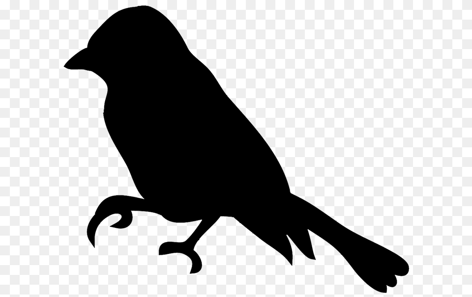 Bird Silhouettes, Gray Png Image