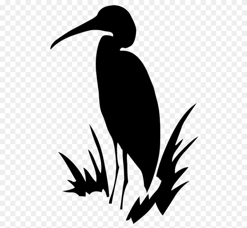 Bird Silhouettes, Animal, Waterfowl, Adult, Female Png Image