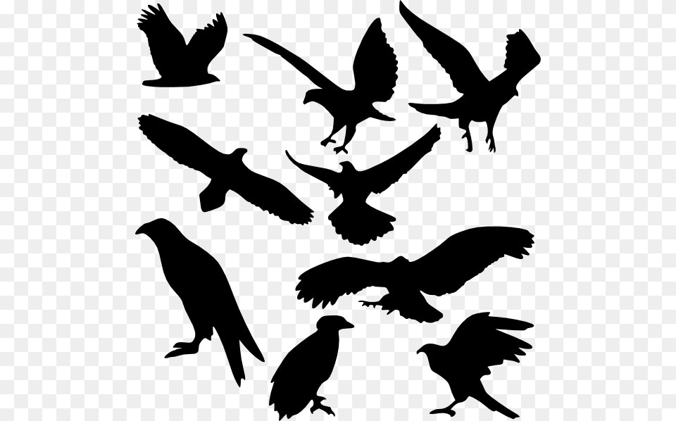 Bird Silhouettes Clip Arts Download, Animal, Silhouette, Flying, Blackbird Png