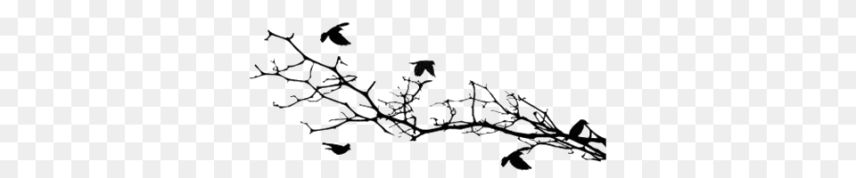 Bird Silhouettes On A Branch, Silhouette, Flower, Pattern, Plant Free Png Download