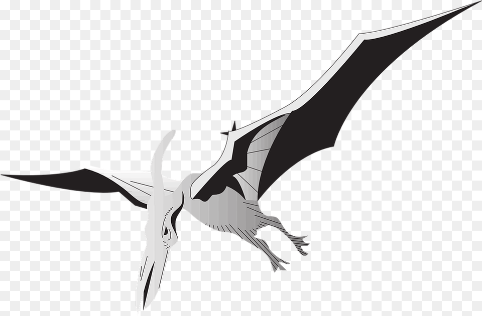 Bird Silver Wings Transparent Robot Pterodactyl, Animal, Flying, Accessories, Art Png Image