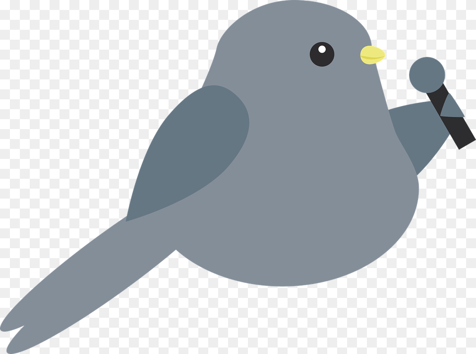 Bird Singing Transparent Background, Animal, Blackbird, Finch, Jay Free Png