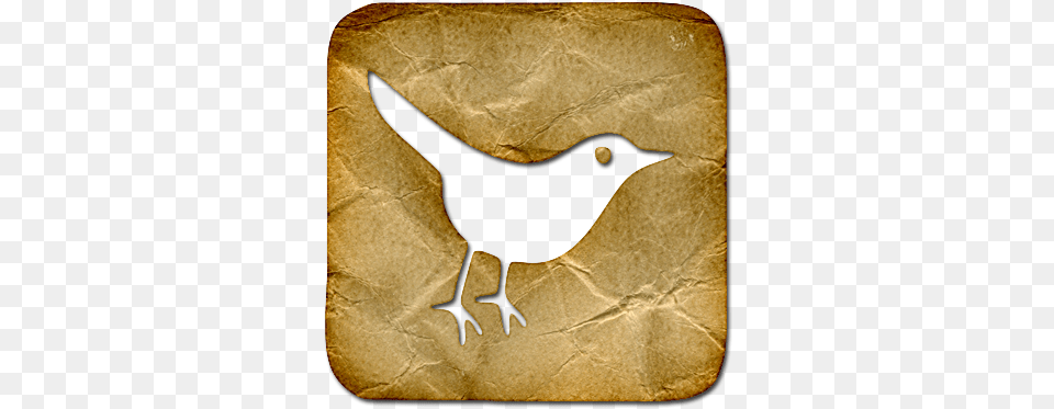 Bird Sn Twitter Social Animal Network Icon Icon, Blackbird, Beak Free Png