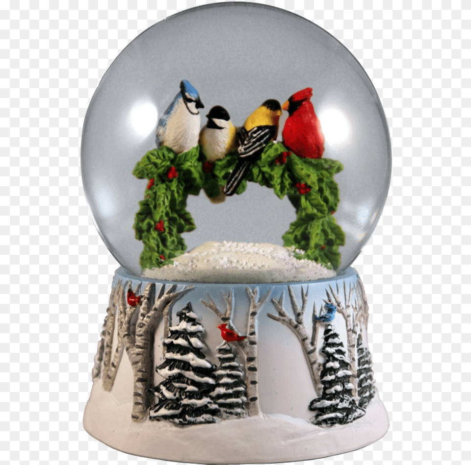 Bird Snow Globe, Animal, Christmas, Christmas Decorations, Festival Free Png