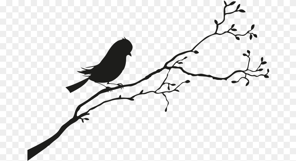 Bird Sparrow Silhouette Black And White Bird Silhouette, Animal, Finch Free Transparent Png