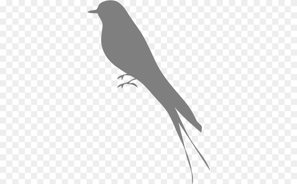 Bird Stand Grey Clip Art Vector Clip Art Bird Silhouette, Adult, Female, Person, Woman Png Image