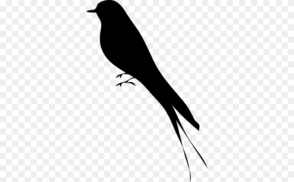 Bird Stand Tree Vine Silhouette Clip Art, Animal, Blackbird, Stencil, Fish Free Transparent Png