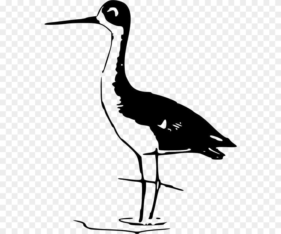 Bird Stilt Crane Pelican Clip Art Antique Avocet Black And White, Gray Png