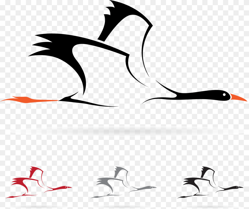 Bird Stork Royalty Free Clip Art, Lighting, Graphics, Flower, Petal Png Image